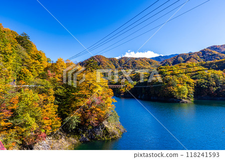 Autumn foliage in Nikko, Tochigi Prefecture 118241593