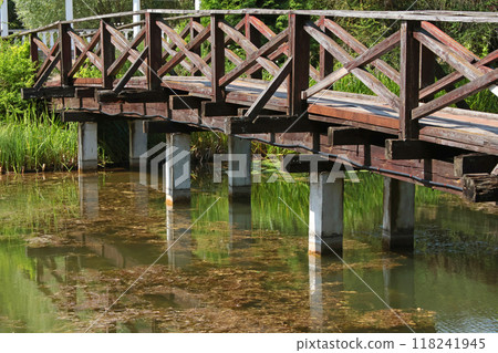 Wooden bridge over river. Nature in botanical park, countryside and structures in summer.  118241945