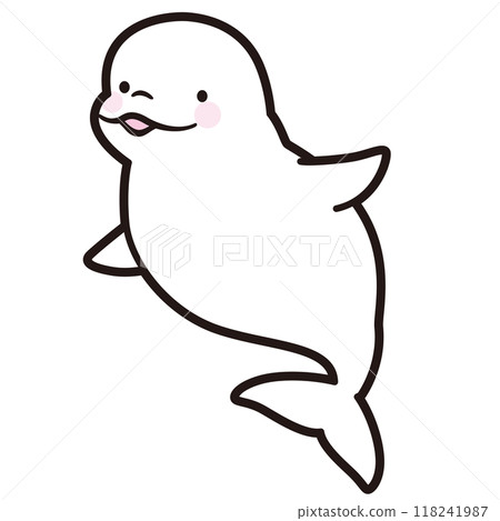 白鯨 白鯨 海洋生物 118241987