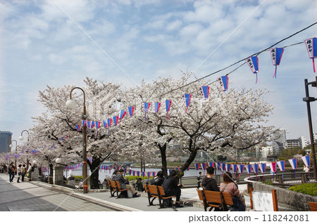 Enjoy spring with rows of cherry blossom trees. Sumida River and a houseboat for viewing the cherry blossoms, with people enjoying the view. 118242081