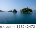A floating island 118242472