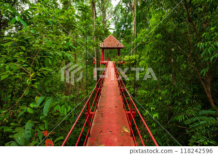 Bridge to the jungle,Trang,Thailand 118242596