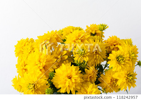 Brighten your space with a fresh bouquet of Rudbeckia Goldquelle flowers, a delightful summer arrangement perfect for home decoration and seasonal joy Brighten your space with a fresh bouquet of Rudbeckia Goldquelle flowers, a delightful summer arrangement perfect for home decoration and seasonal joy 118242957