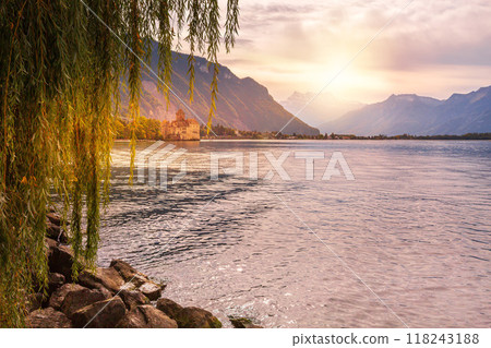 Flowers, Swiss Alps, lake, Montreux, Switzerland 118243188