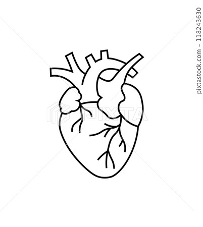 Minimalistic black and white line drawing of an anatomical heart. Ideal for medical, healthcare, or biology-related themes and illustrations. 118243630