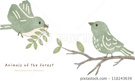 Small birds perched on tree branches (small birds in the forest) 118243639
