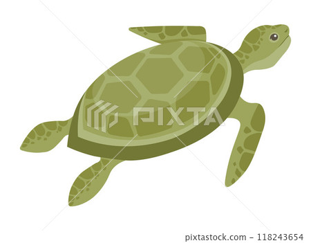 Marine turtle swimming gracefully in the ocean, highlighting the beauty of marine life. The turtle is green and surrounded by blue ocean waters, symbolizing environmental conservation. 118243654