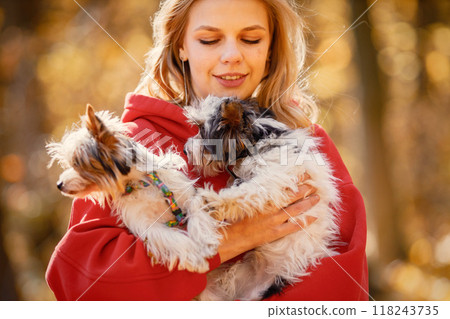 Portrait of young woman with dogs in autumn forest. Blonde woman holding yorkshire terrier dogs. Girlr wearing red hoodie. Portrait of young woman with dogs in autumn forest. Blonde woman holding yorkshire terrier dogs. Girlr wearing red hoodie. 118243735