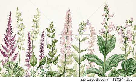 Detailed botanical watercolor illustration on light background 118244193