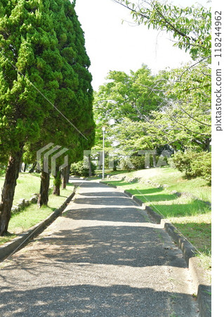 Kuwana Kaizuka Park 118244962