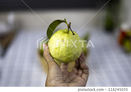 Hand holding a ripe green guava fruit. 118245035