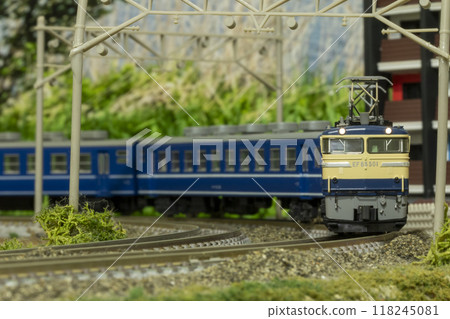 N gauge EF65 501 + 12 series 06 118245081