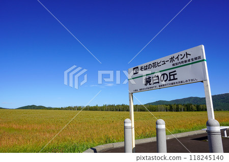 The beginning of autumn: Buckwheat flower viewing point, Pure White Hill (Horokanai Town) 118245140