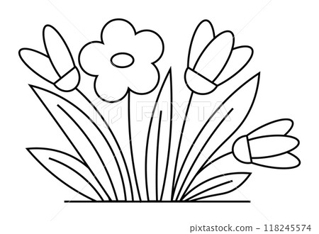 Black and white drawing of a single flower with three buds and leaves. Ideal for coloring books, educational materials, botanical themes, minimalist design, and nature appreciation. Simple line art. Black and white drawing of a single flower with three buds and leaves. Ideal for coloring books, educational materials, botanical themes, minimalist design, and nature appreciation. Simple line art. 118245574