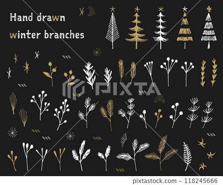 Hand drawn winter branch illustration set 118245666