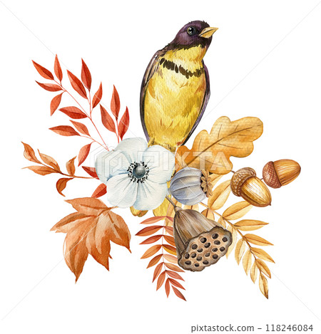 Bird and leaves, Autumn floral clipart, Halloween element, fall watercolor illustration isolated on white background Bird and leaves, Autumn floral clipart, Halloween element, fall watercolor illustration isolated on white background 118246084