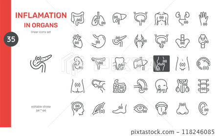 Inflammation in Human Organs Icons Set. Thin linear icons representing inflammation in various human organs including lungs, liver, pancreas, kidneys, heart, joints, stomach, and reproductive organs. Inflammation in Human Organs Icons Set. Thin linear icons representing inflammation in various human organs including lungs, liver, pancreas, kidneys, heart, joints, stomach, and reproductive organs. 118246085