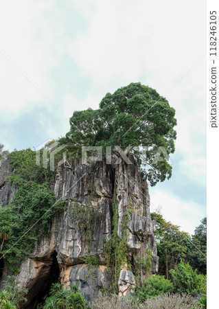 View of beautiful mountain Tourist Attractions in Loei Province atThailand View of beautiful mountain Tourist Attractions in Loei Province atThailand 118246105