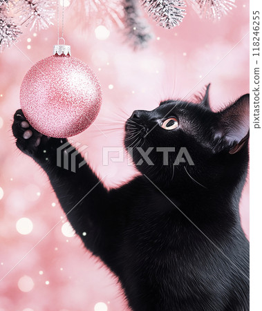 Christmas black cat is looking at a pink ornament Christmas black cat is looking at a pink ornament 118246255
