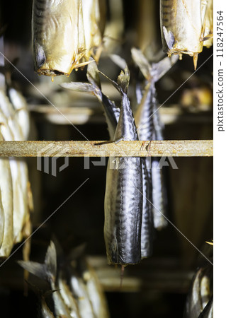 Industrial smoking of fish. Mackerel in a smoking oven. 118247564
