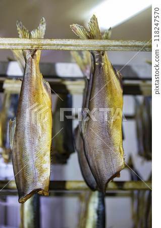 Smoked mackerel close-up. Fishing industry.Mackerel in a smoking oven. Smoked mackerel close-up. Fishing industry.Mackerel in a smoking oven. 118247570