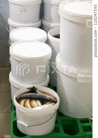 Herring in a plastic bucket in an industrial warehouse or store. Herring in a plastic bucket in an industrial warehouse or store. 118247593
