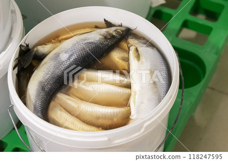 Herring in a plastic bucket in an industrial warehouse or store. Herring in a plastic bucket in an industrial warehouse or store. 118247595