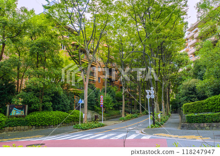 廣尾車站前的日本東京城市景觀。從港區西麻布一側眺望澀谷區廣尾的廣尾花園山，周圍綠樹環繞。 118247947