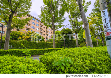 Tokyo cityscape in Japan, in front of Hiroo Station. View of Hiroo Garden Hills in Hiroo, Shibuya Ward, surrounded by greenery, from the Nishi-Azabu side of Minato Ward. Tokyo cityscape in Japan, in front of Hiroo Station. View of Hiroo Garden Hills in Hiroo, Shibuya Ward, surrounded by greenery, from the Nishi-Azabu side of Minato Ward. 118247958
