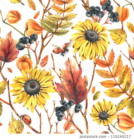 Autumn berries physalis, chokeberry, rowan leaves, maple, birch, rudbeckia flowers tree branches and ladybugs. Watercolor illustrations. Seamless pattern on a white background Autumn berries physalis, chokeberry, rowan leaves, maple, birch, rudbeckia flowers tree branches and ladybugs. Watercolor illustrations. Seamless pattern on a white background 118248217