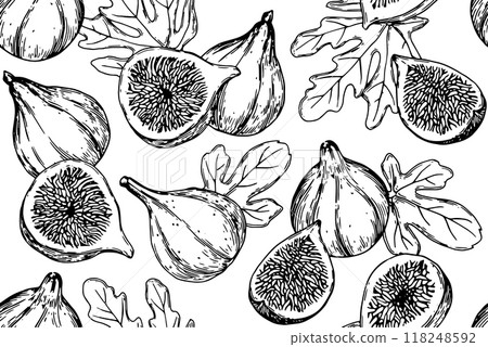 fig, fruit, vector 118248592