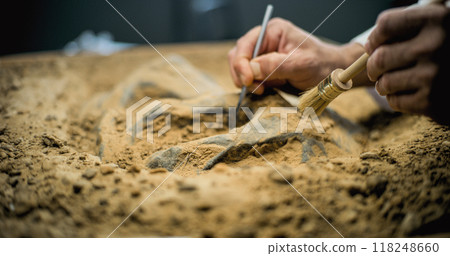 Archaeologist works with fossil remains in archaeological lab Archaeologist works with fossil remains in archaeological lab 118248660