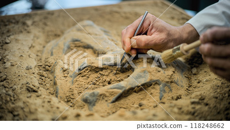 Archaeologist works with fossil remains in archaeological lab Archaeologist works with fossil remains in archaeological lab 118248662