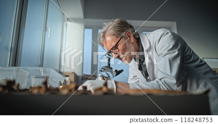 Mature scientist works with specimen collection of fossil remains 118248753