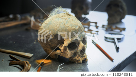 Archaeological laboratory: Fossil skull of prehistoric human Archaeological laboratory: Fossil skull of prehistoric human 118248811