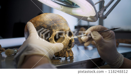 Close up shot of archaeologist cleaning fossil skull using tool and brush Close up shot of archaeologist cleaning fossil skull using tool and brush 118248812