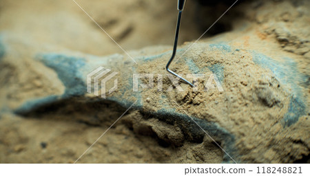 Close up shot of cleaning skeleton of prehistoric human or animal 118248821