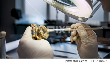 Close up shot of archaeologist cleaning fossil remains from sand 118248823
