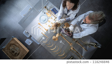 Archaeologists conduct scientific research on bones of ancient human 118248846