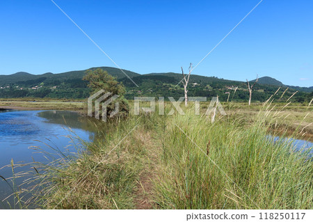 Walking Path Through the Wetlands of Mundakako Itsasadarra Delta, Basque Country 118250117
