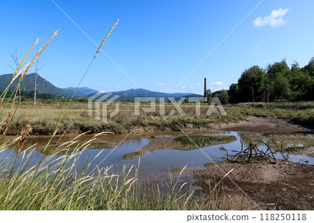 Wetlands of Mundakako Itsasadarra Delta, Basque Country 118250118