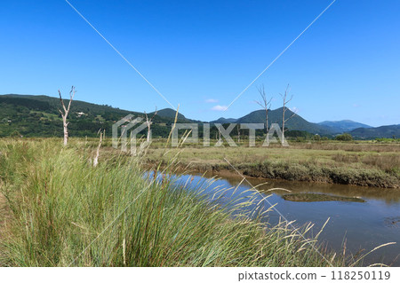 Wetlands of Mundakako Itsasadarra Delta, Basque Country Wetlands of Mundakako Itsasadarra Delta, Basque Country 118250119