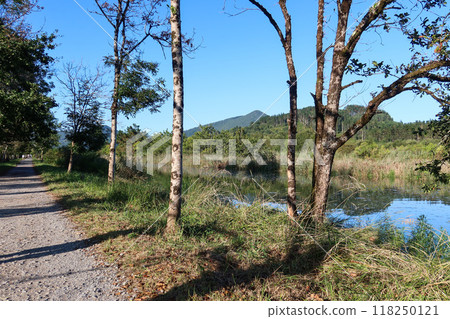 River Mundakako Itsasadarra, View Through Trees Along the Path, Basque Country River Mundakako Itsasadarra, View Through Trees Along the Path, Basque Country 118250121