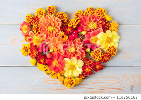 Autumn composition in shape of heart from orange and red flowers of dahlias, marigolds, hawthorn berries on blue wooden table. Flat lay 118250162