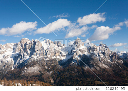 Larches in autumn dress on snow covered ground 118250495