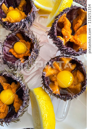 Sea urchin in a ceramic bowl with ice on. Sea urchin dish with quail egg close up Sea urchin in a ceramic bowl with ice on. Sea urchin dish with quail egg close up 118251354