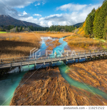 Aerial view of woman on wooden bridge, river and orange grass 118251522