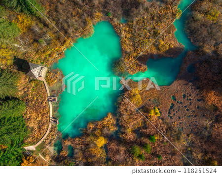 Aerial view of azure lake, mountain, orange forest in autumn 118251524