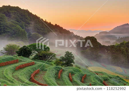 The misty Oyama Senmaida rice fields after the harvest 118252992