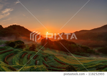 霧氣收割後大山千枚田的日出 118252993
